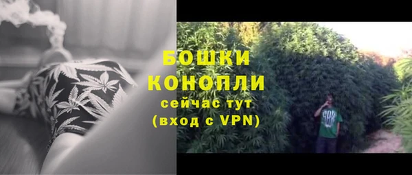 прущие грибы Михайловка