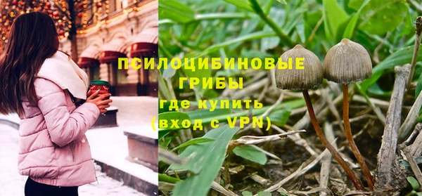 стаф Михайлов