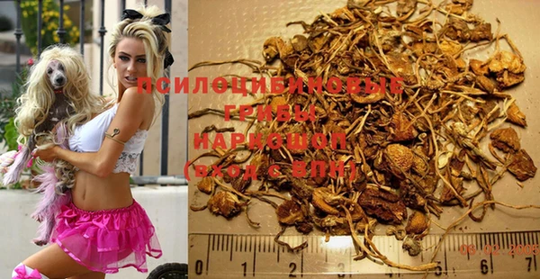 прущие грибы Михайловка