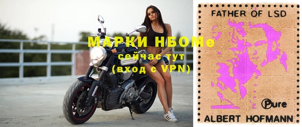 прущие грибы Михайловка