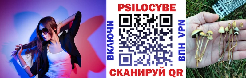 как найти наркотики  Данков  Галлюциногенные грибы мухоморы 